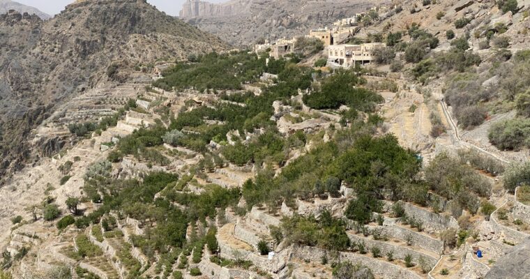 “The Green Mountain”—Jebel Akhdar, Oman 2022